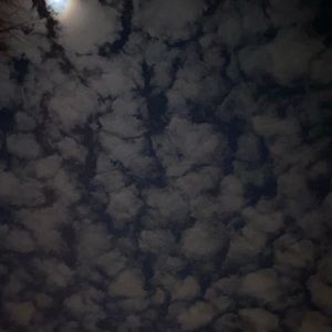 Meet your Posher, Anyela